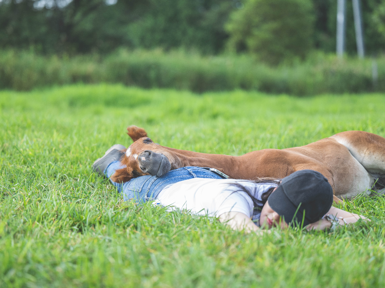 Heart Ranch�q��̎ʐ^4