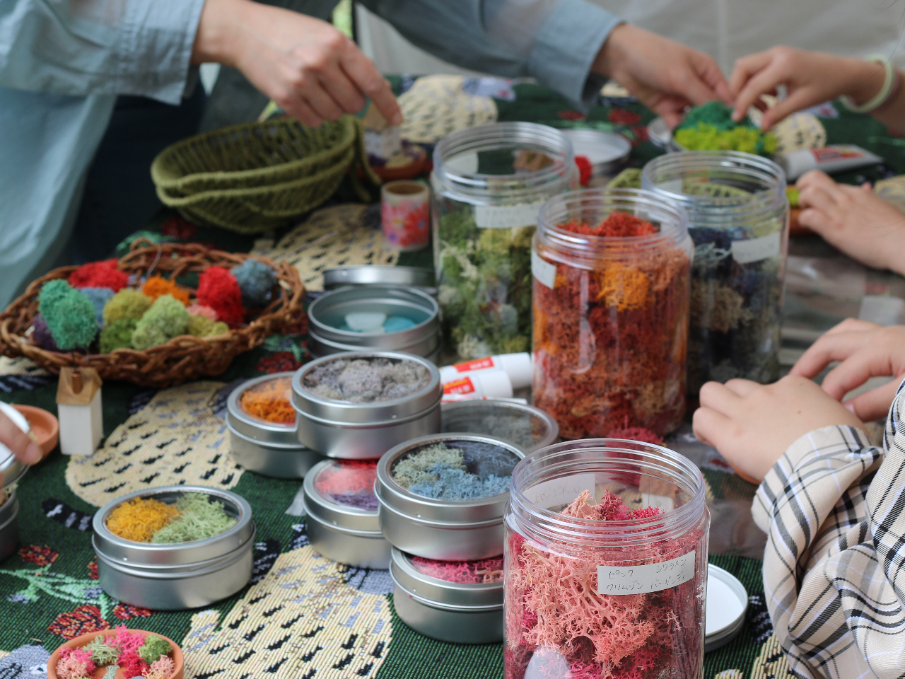 どれにしようかな?楽しい時間です。