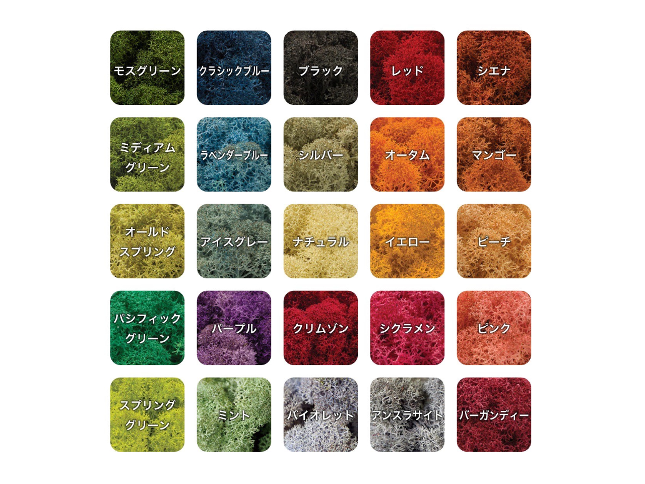 QTF̃X炨DȐFł蒸܂iYsiɂACXu[ʂQSFɂȂ܂Bj