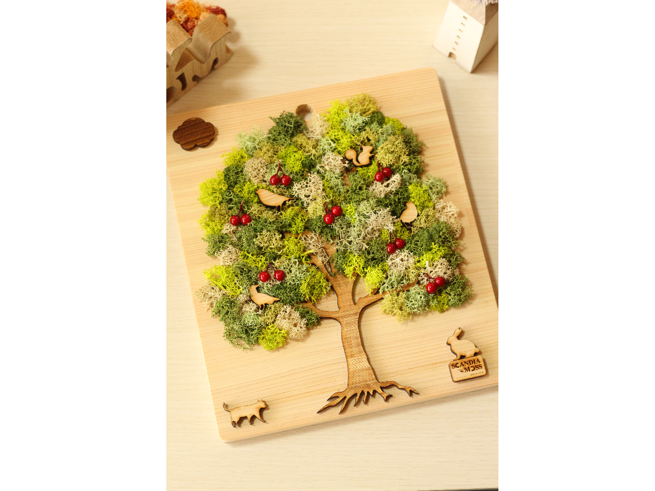 ̃p[cł傫Ȗ؁TN{Ă܂