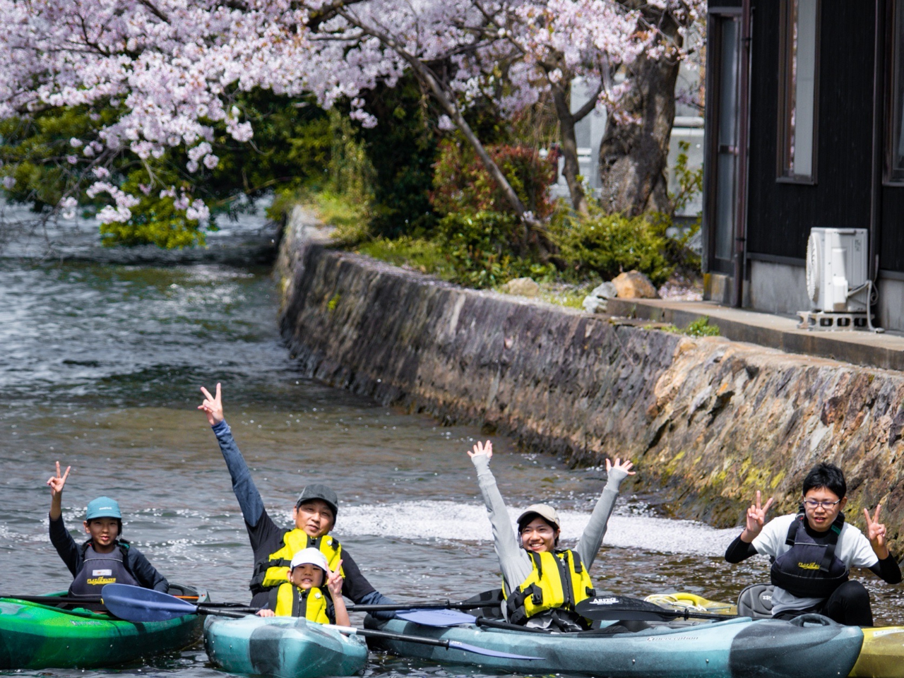 ���S�Ȑ쉈�����������U�􂵂Ă��炤�v�����ł���