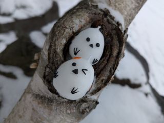 \まんまるボディ/シマエナガの目とクチバシを描きます