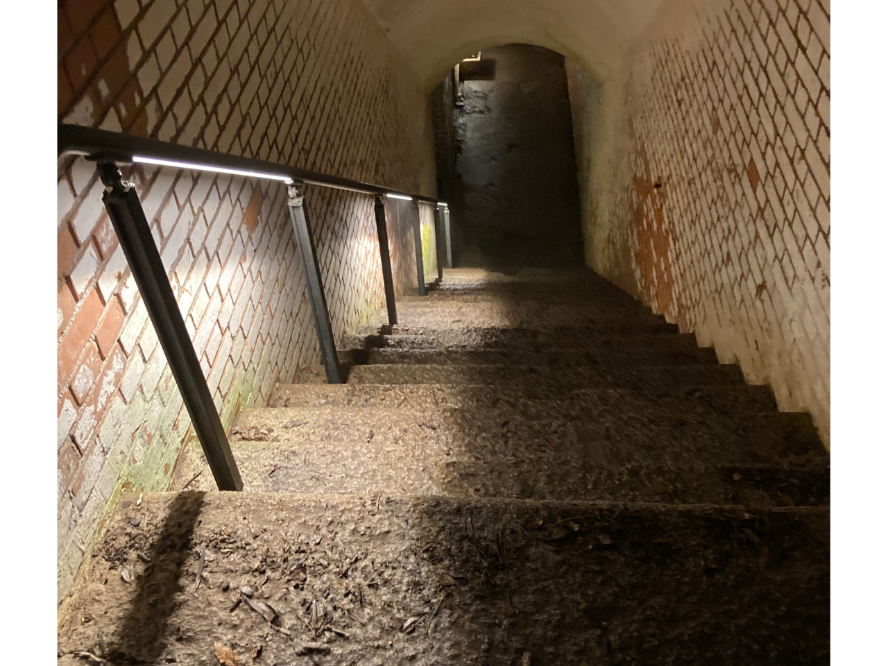 ��O�C�����