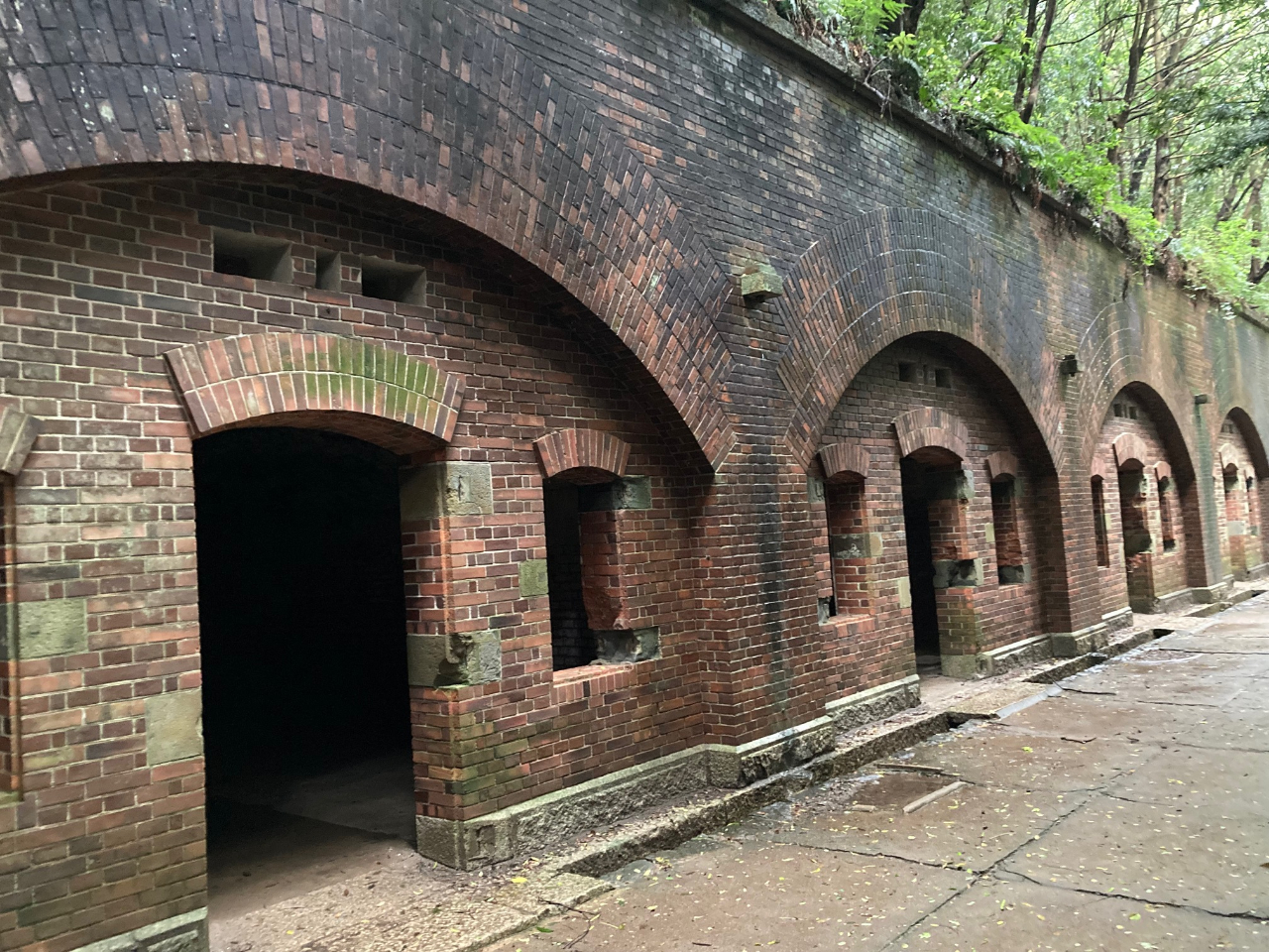 【友ヶ島ガイドツアー】通常コース|3時間\「実写版ラピュタの島」自然の幻想的な風...