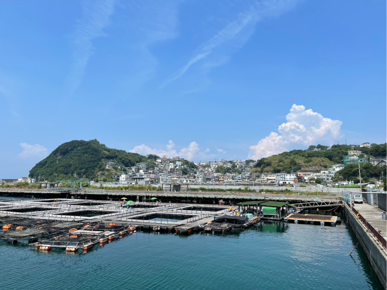 新和歌浦<おっとっと広場>~日本のアマルフィー<雑賀崎漁港>~雑賀崎灯台ミニウォ...