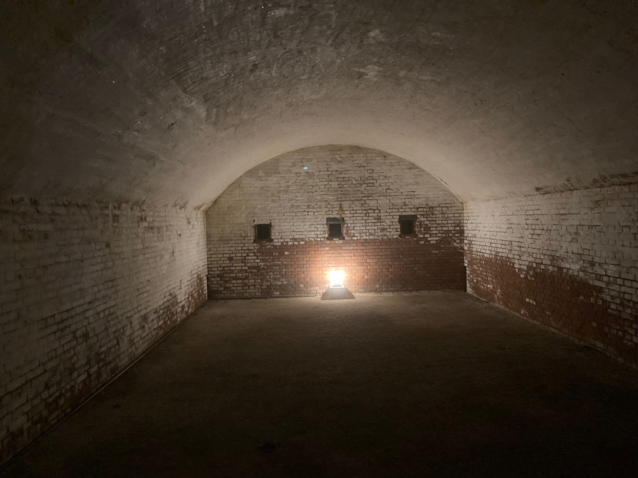 ��O�C�����