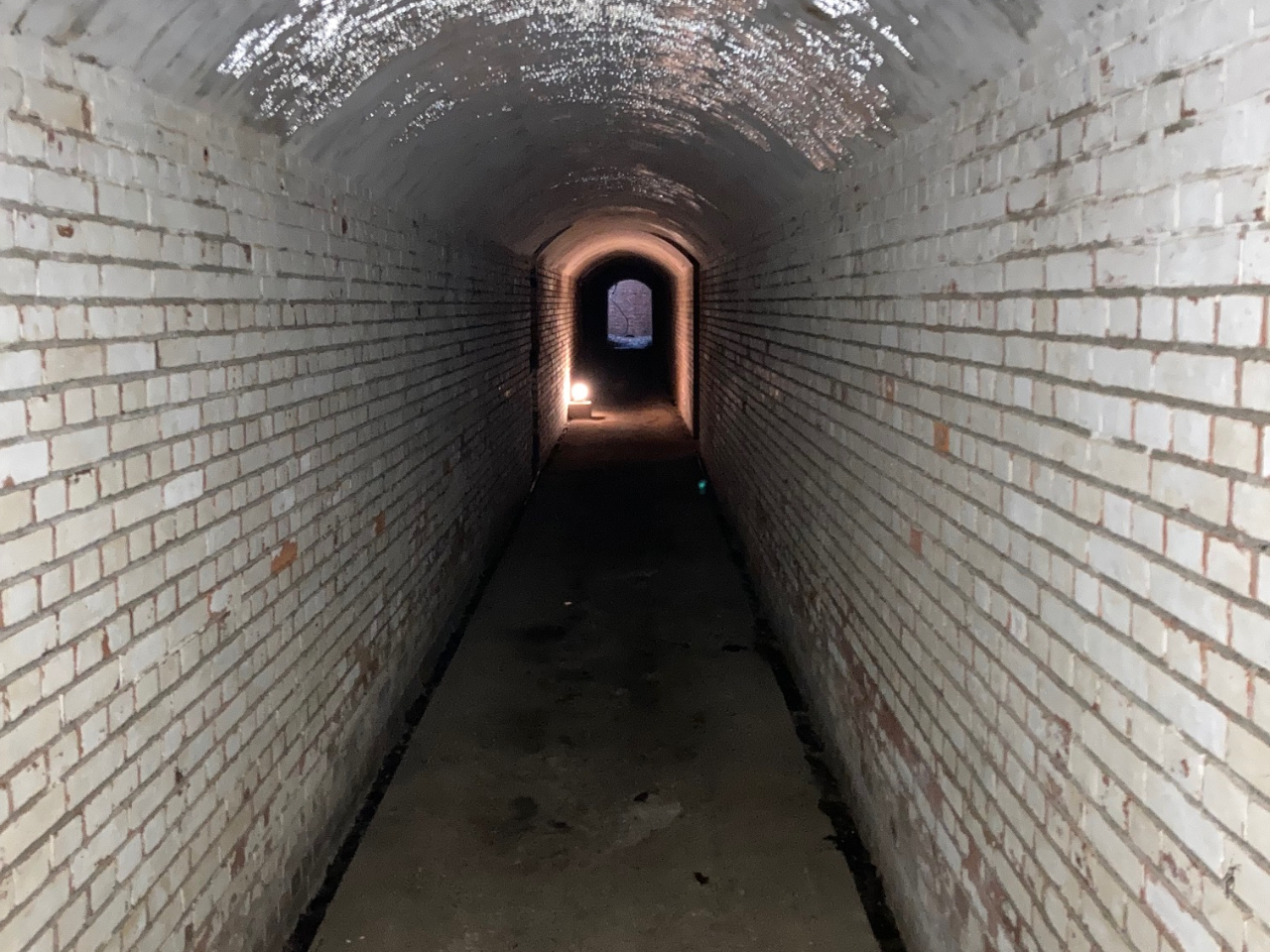 ��O�C�����