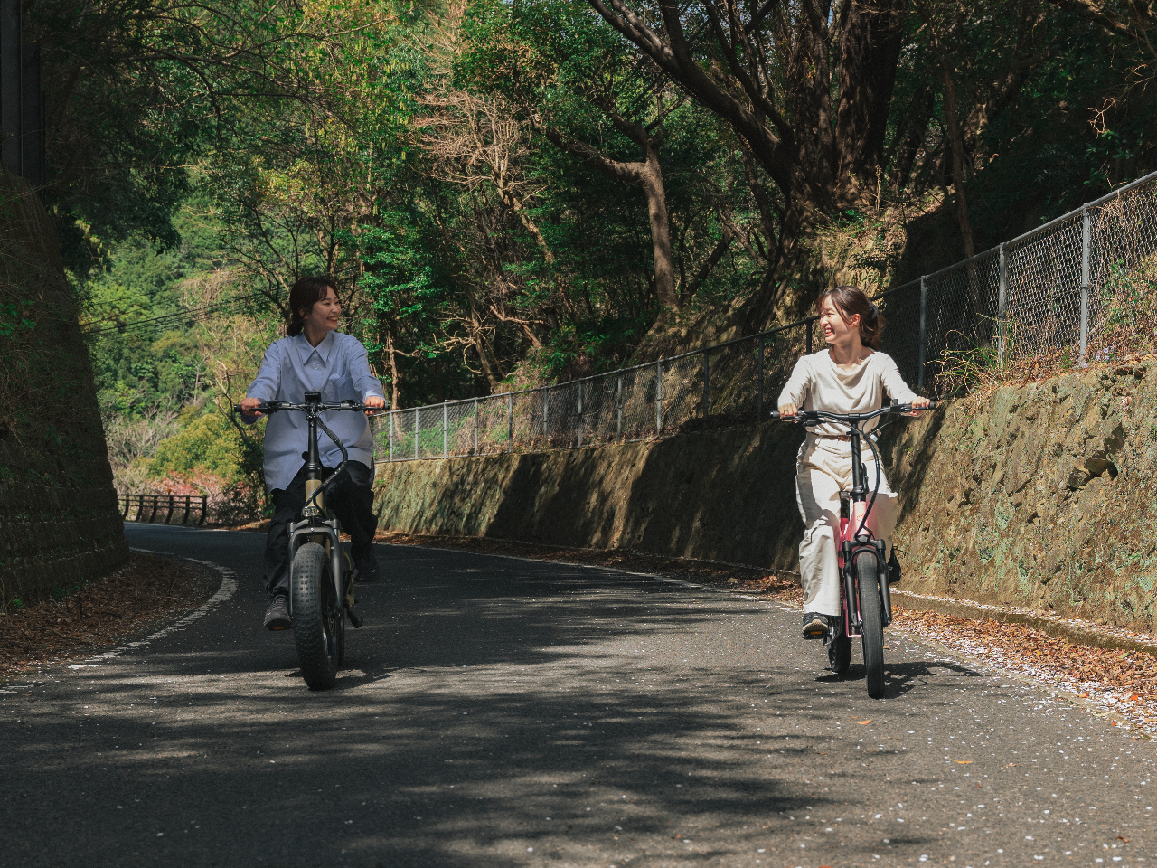 dAVXgȂ̂ŁA^]yXI⓹Iĉ蒴yIICyɂ̂тƒWH̓TCNOII