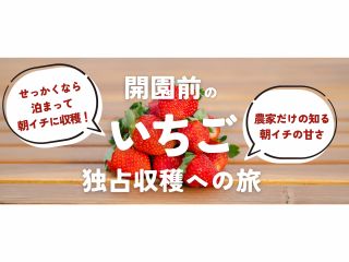 せっかくなら泊まって朝イチに収穫!