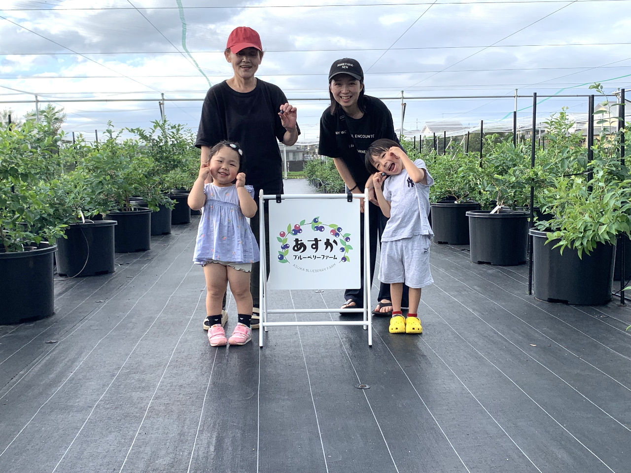 奈良・あすか地方で夏限定！完熟ブルーベリー狩り体験《45品種食べ比べ＆時間無制限...