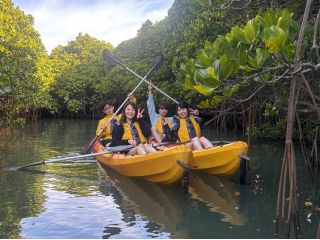 沖縄最大のマングローブ