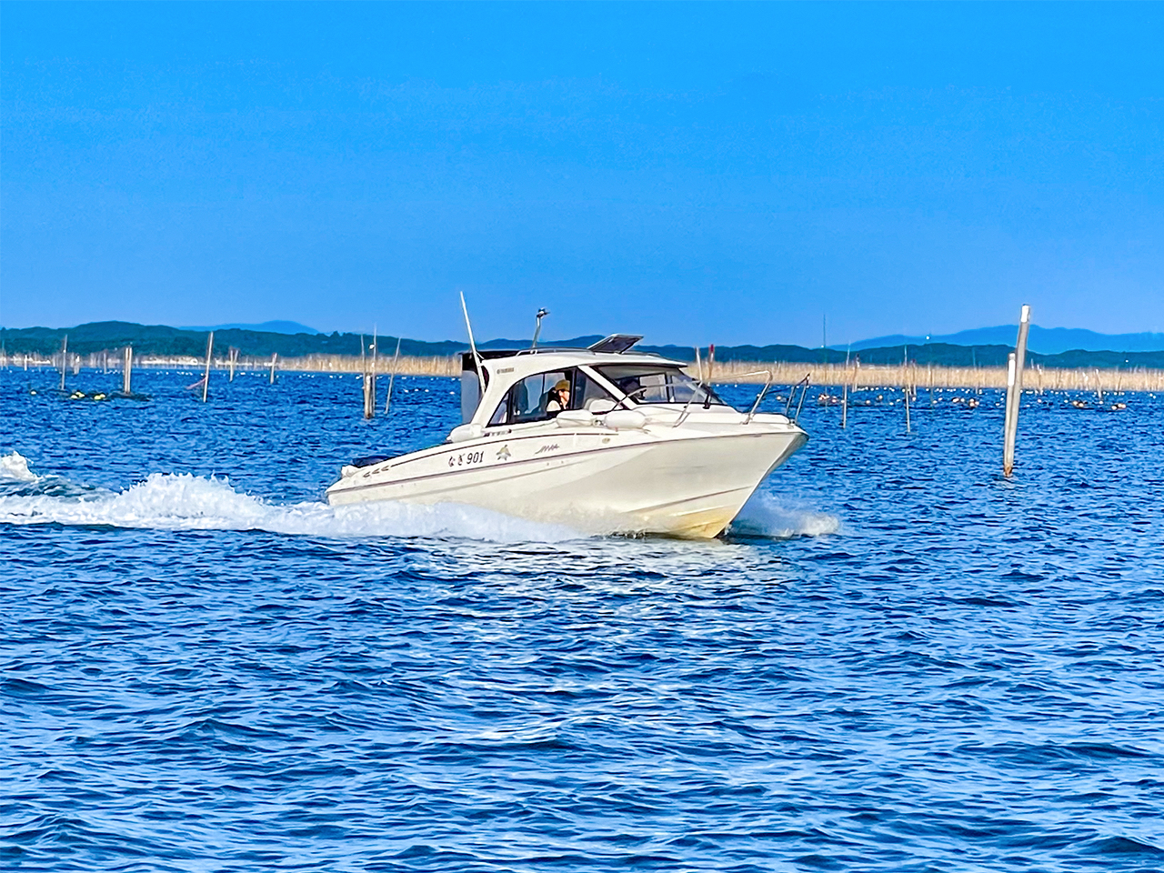 Bꖳ̗{BIqsZpI pɑ݂{BI̊ԂqsAɂ͂ȂZpKIHSɍqsł鎩MƊт͊iʂłB