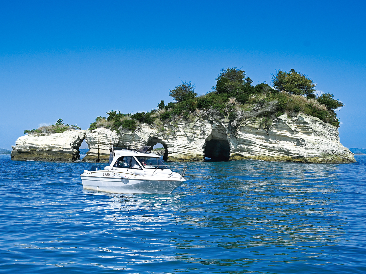 ̃glAR̐_I {[gŋ߂Ẫglɑ勻Igo_Iȑ`ɐSD܂BR̗͂Ė{ɂIƊ܂B