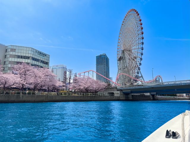 春、護岸に咲き誇る桜並木と、散歩中の人々が手を振ってくれる温かさ。海上から眺めるその景色は、心躍る喜びに満ちています。