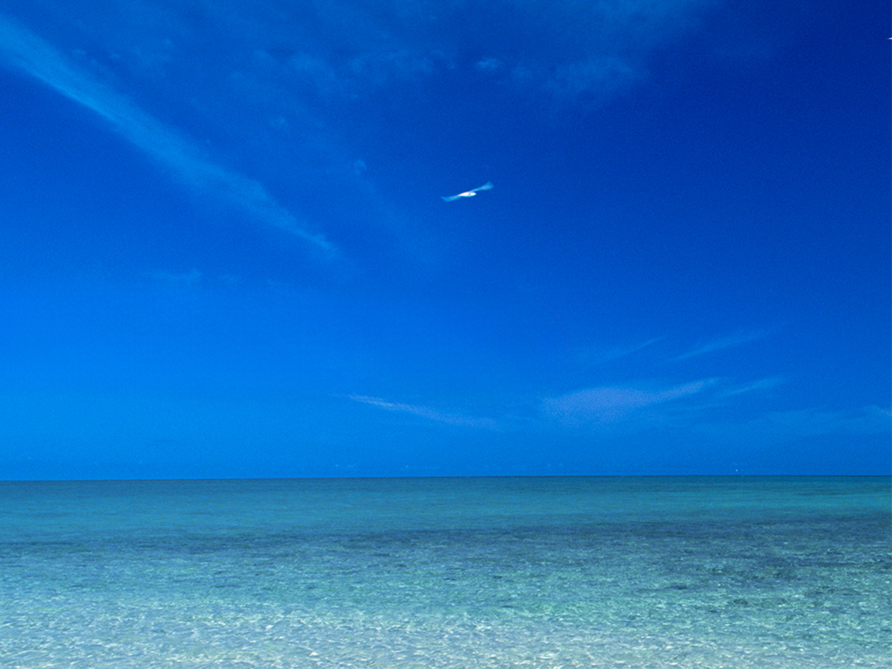 AցB ǂ܂łLCƋB̋ڂBɂȂقǂ̐iɁAS䂭܂Őgς˂BЂɁA̐ɕ܂ꂽB