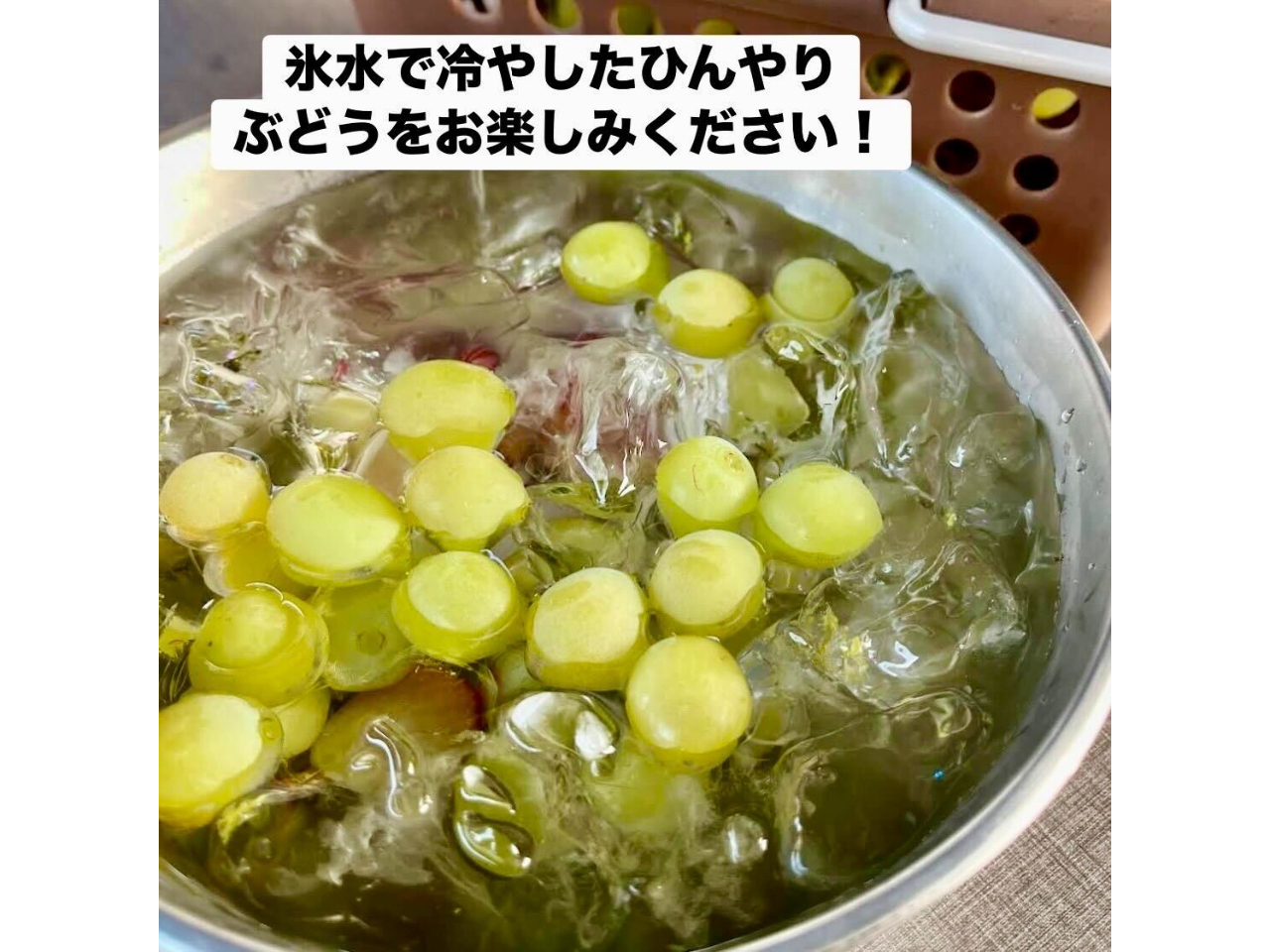 �X�ŗ�₵���Ԃǂ��͂��Â������������A�ЂƂ����Ŏv�킸�Ί�ɂȂ邨�������ł��B���Ђ��ܖ����������܂��B