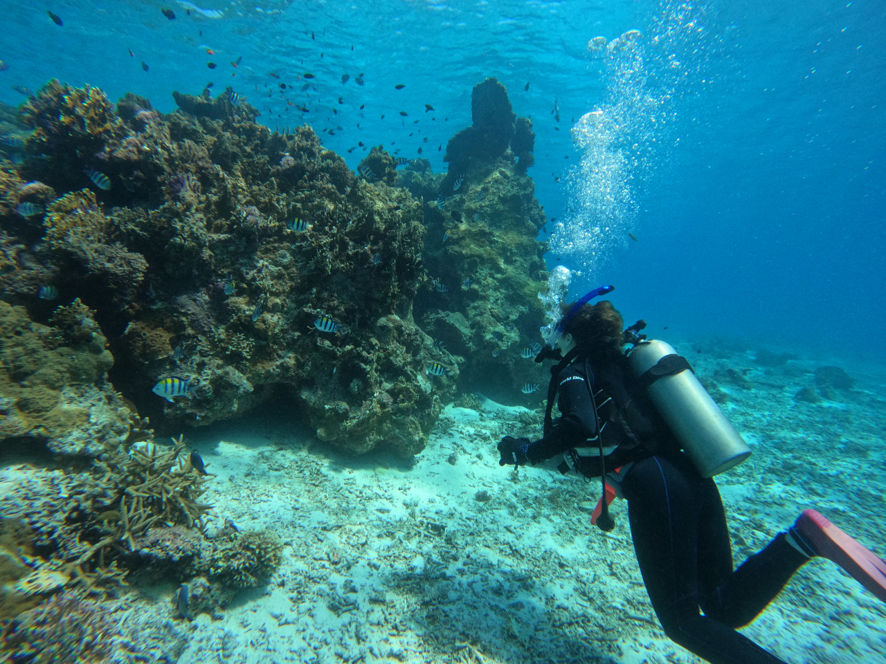 �������苛���ώ@�ł��܂�