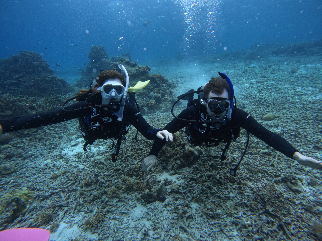 �����Ōċz�ł���ʔ���