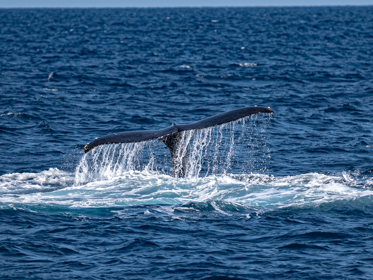 �e�[���A�b�v