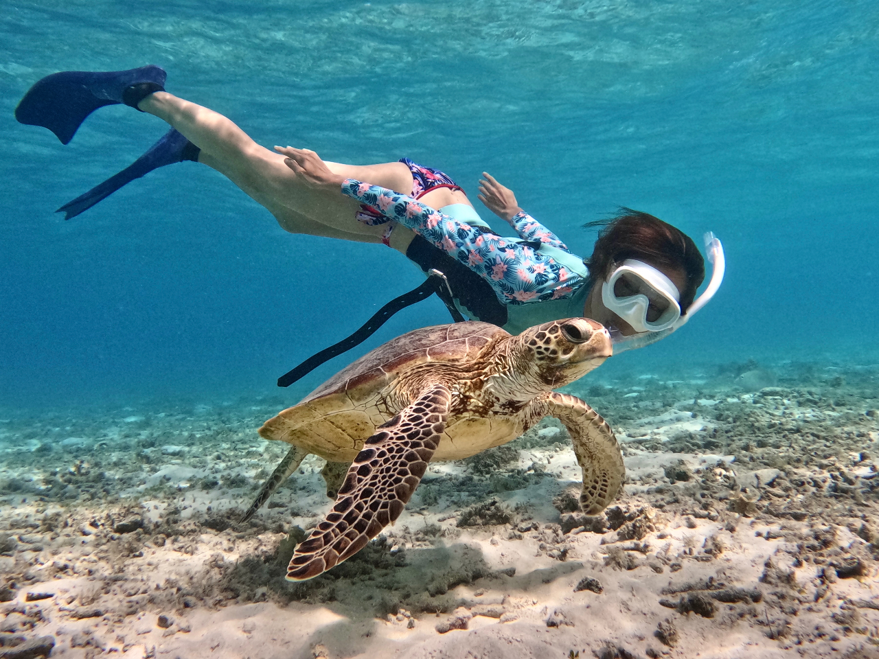 ���[�̐󂢏ꏊ�ŃE�~�K���ɏo���m�����߁�