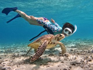 水深の浅い場所でウミガメに出会る確率高め♪