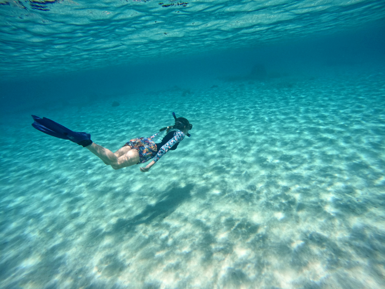 �^�����ȍ��n�G���A�̓X�L���_�C�o�[�ɂP�Ԑl�C