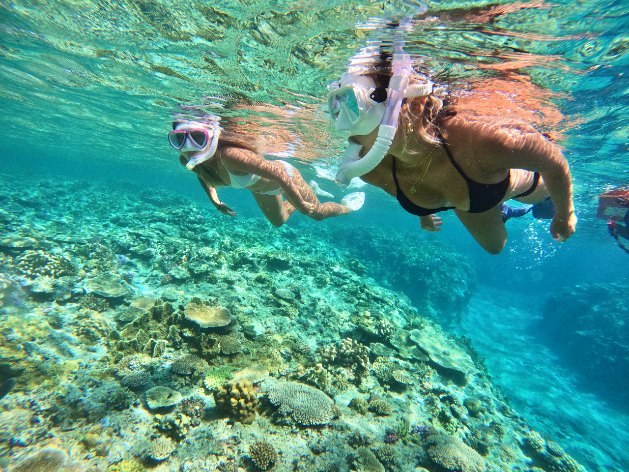 �ݐ؃c�A�[�Ȃ̂Ŏʐ^�⓮��̃��N�G�X�g��OK