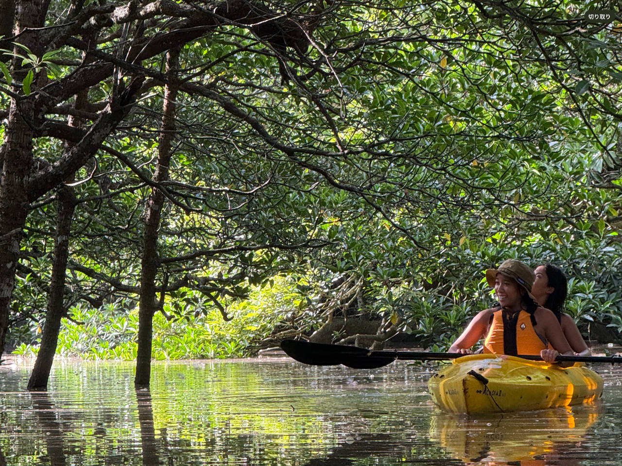 �ؘR����̒��̃}���O���[�u�J���b�N�Ŗ�����܂��I