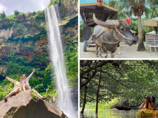 午前はアクティブにマングローブカヤックでピナイサーラの滝へ!午後はのんびり水牛車で由布島観光!