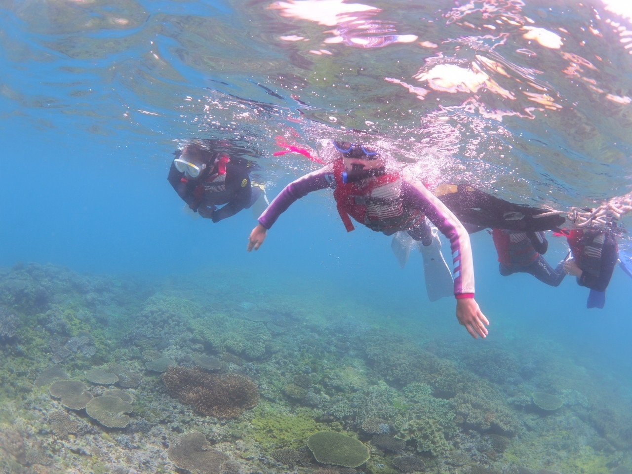 宜野湾市トロピカルビーチ】断然おトク！海の楽しさ贅沢取り