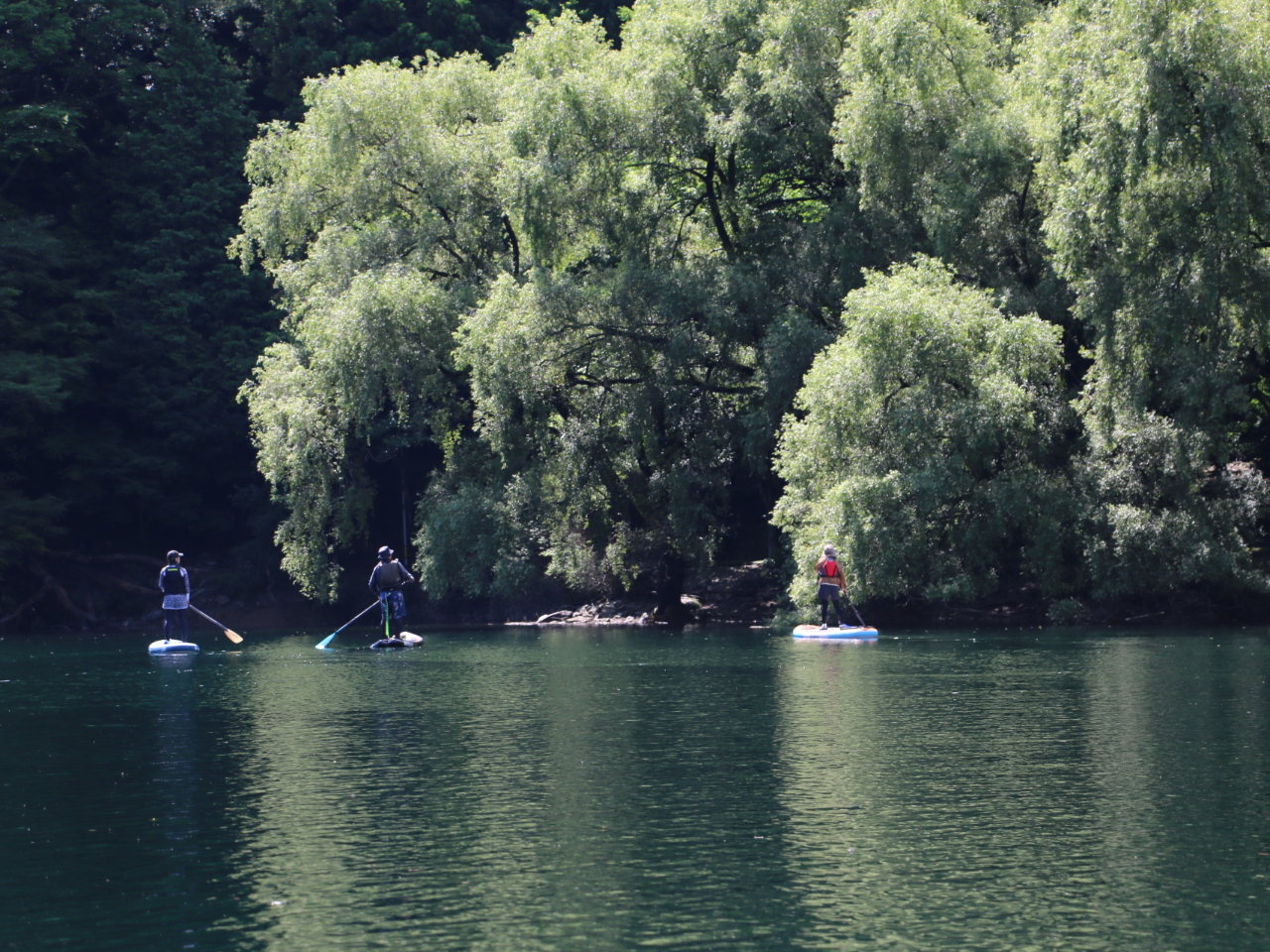 �J�b�v���A���F�B�ʂ��̎Q���劽�}�ł��I