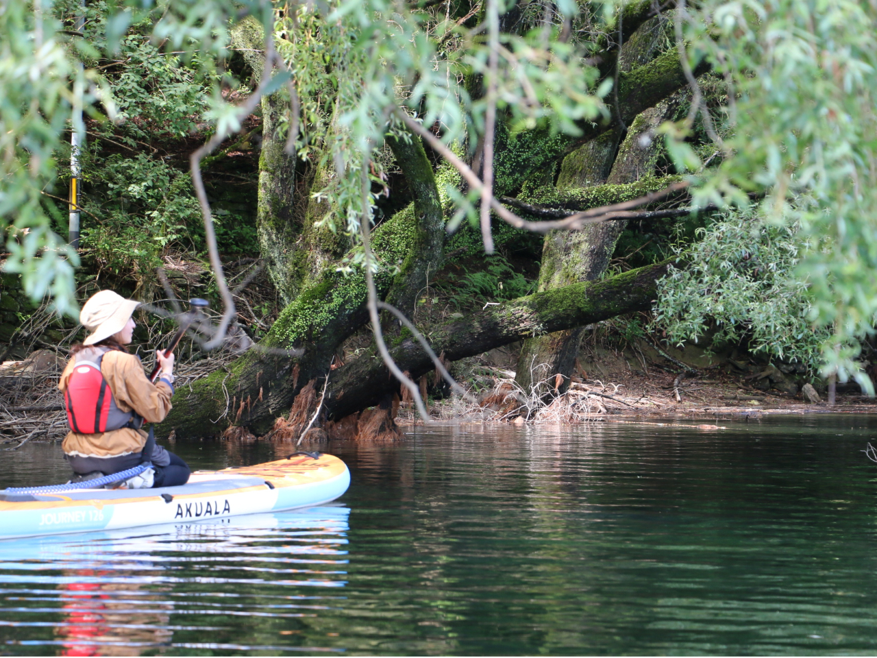 ������������쐶�̓��������邩���I