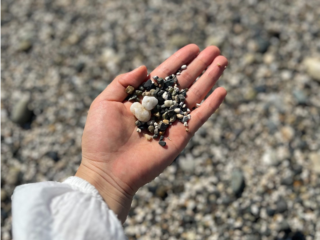 lӂ̏ꏊɂĕς鍻̑傫FB