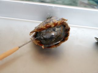 伊万里で話題のあこや真珠取り出し体験!