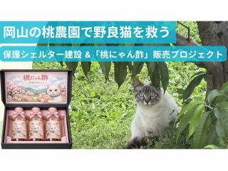 モモナピーチファームは、桃を通じて「園に現れる猫たちの命を救う」活動に取り組んでいます。
