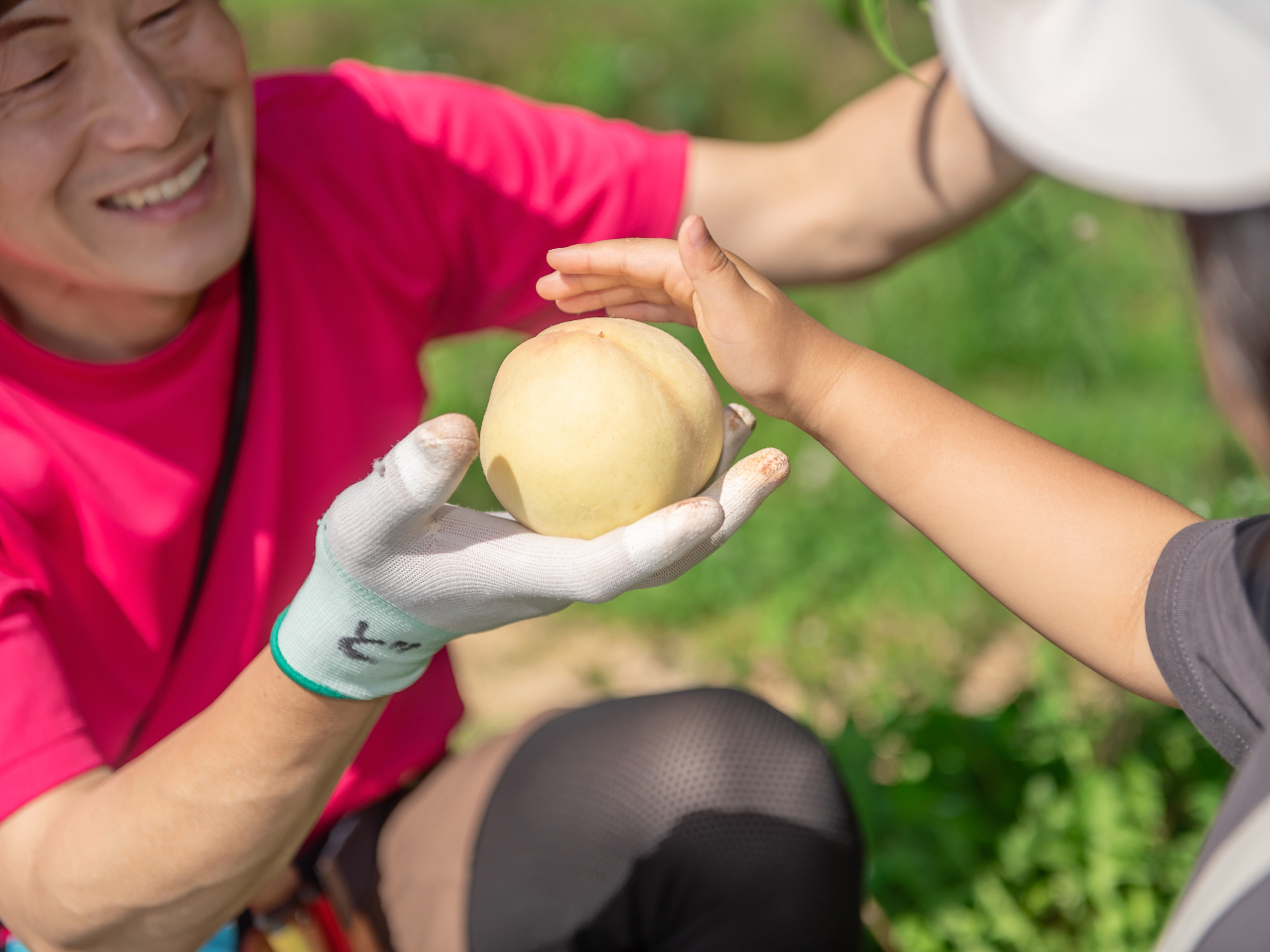 �_���X�^�b�t�����ɂ��Ă킩��₷���K�C�h���܂��I