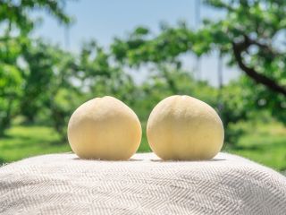 こだわりの桃園で育ったジューシーな桃をどうぞ