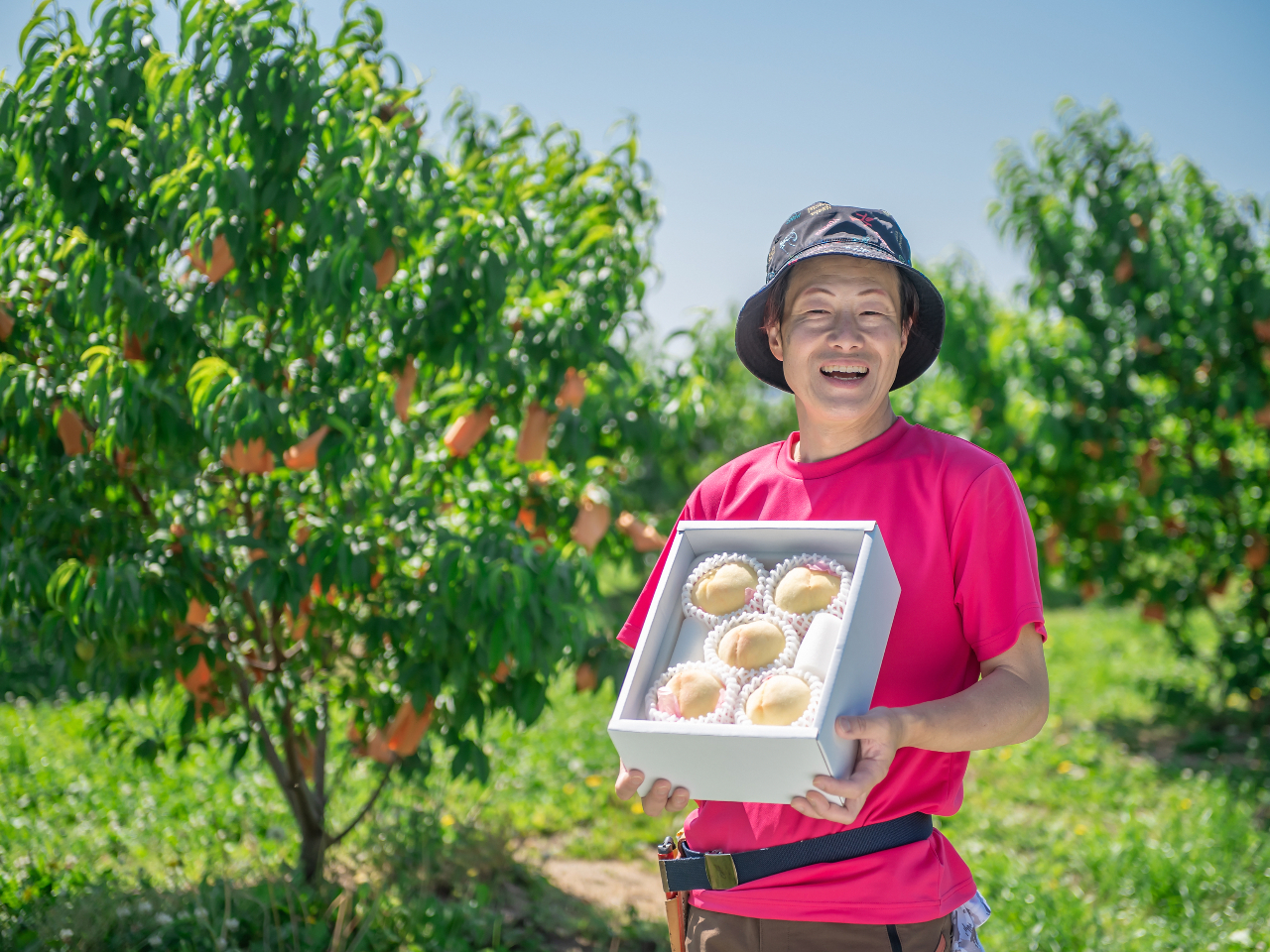 6/25～【90分コース】岡山・倉敷｜桃農家がご案内！現地で桃2品種の