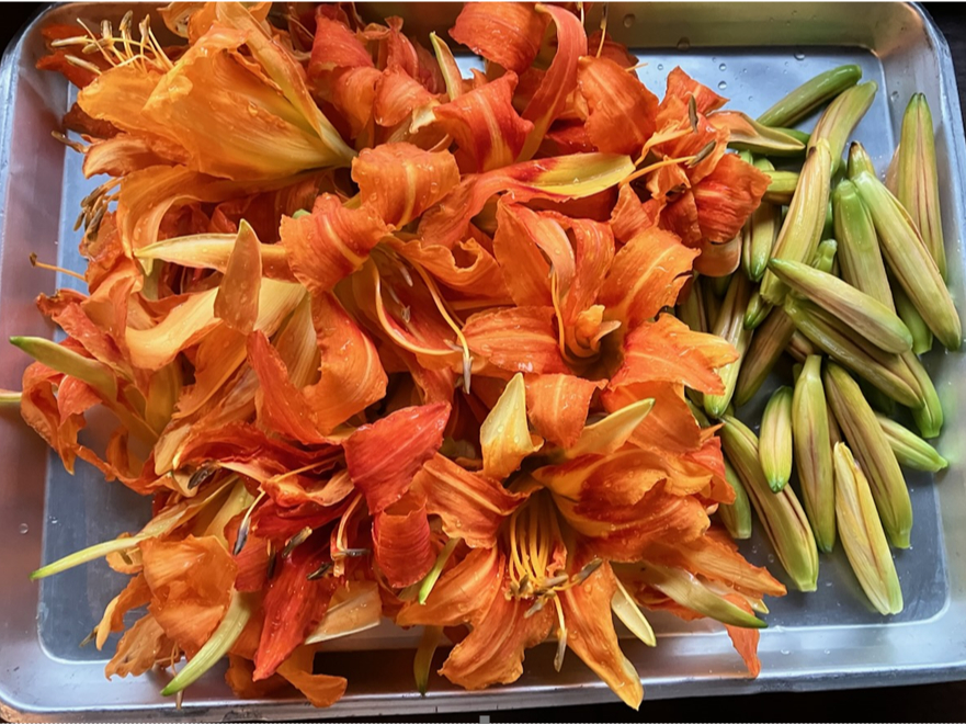 ̓uJ]ẺԂłIHނɂȂ܂I