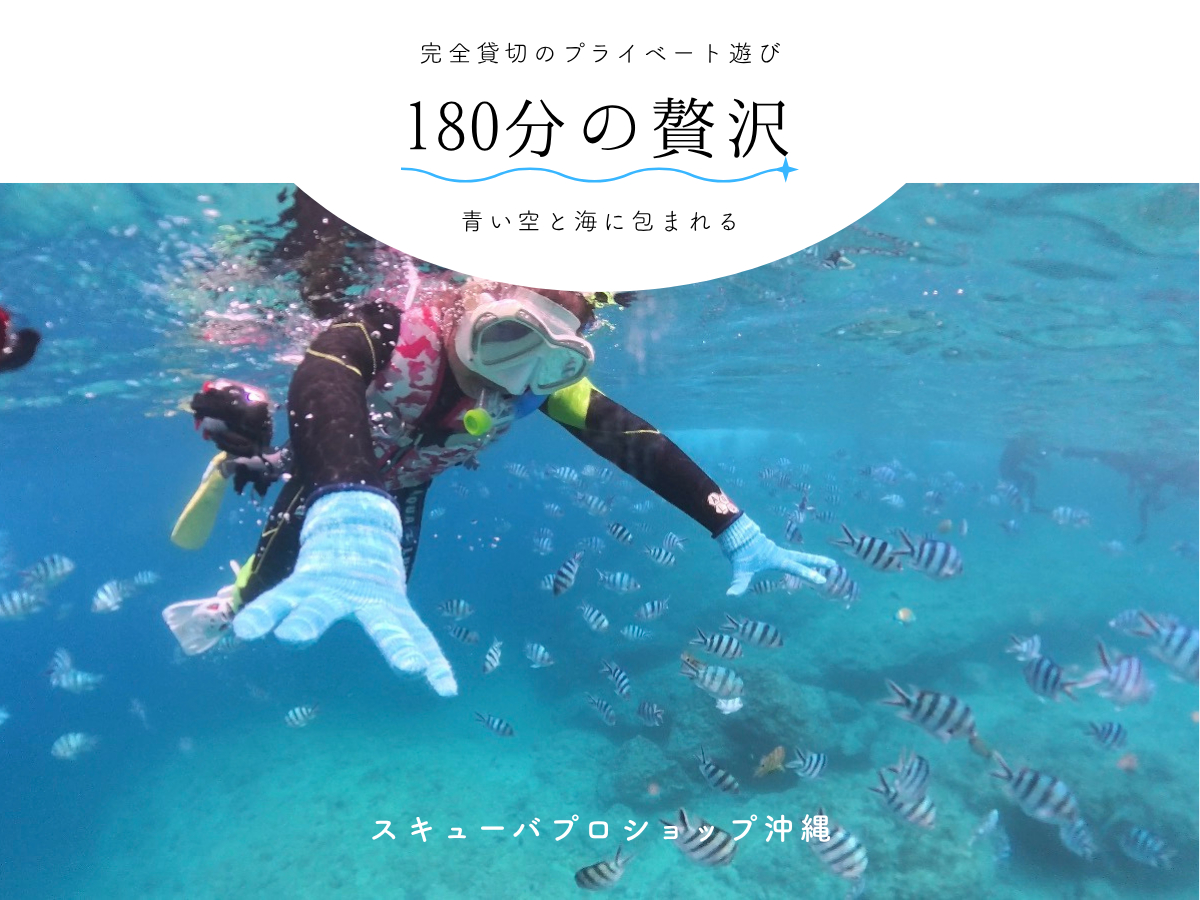 �X�L���[�o�v���V���b�v����̎ʐ^2