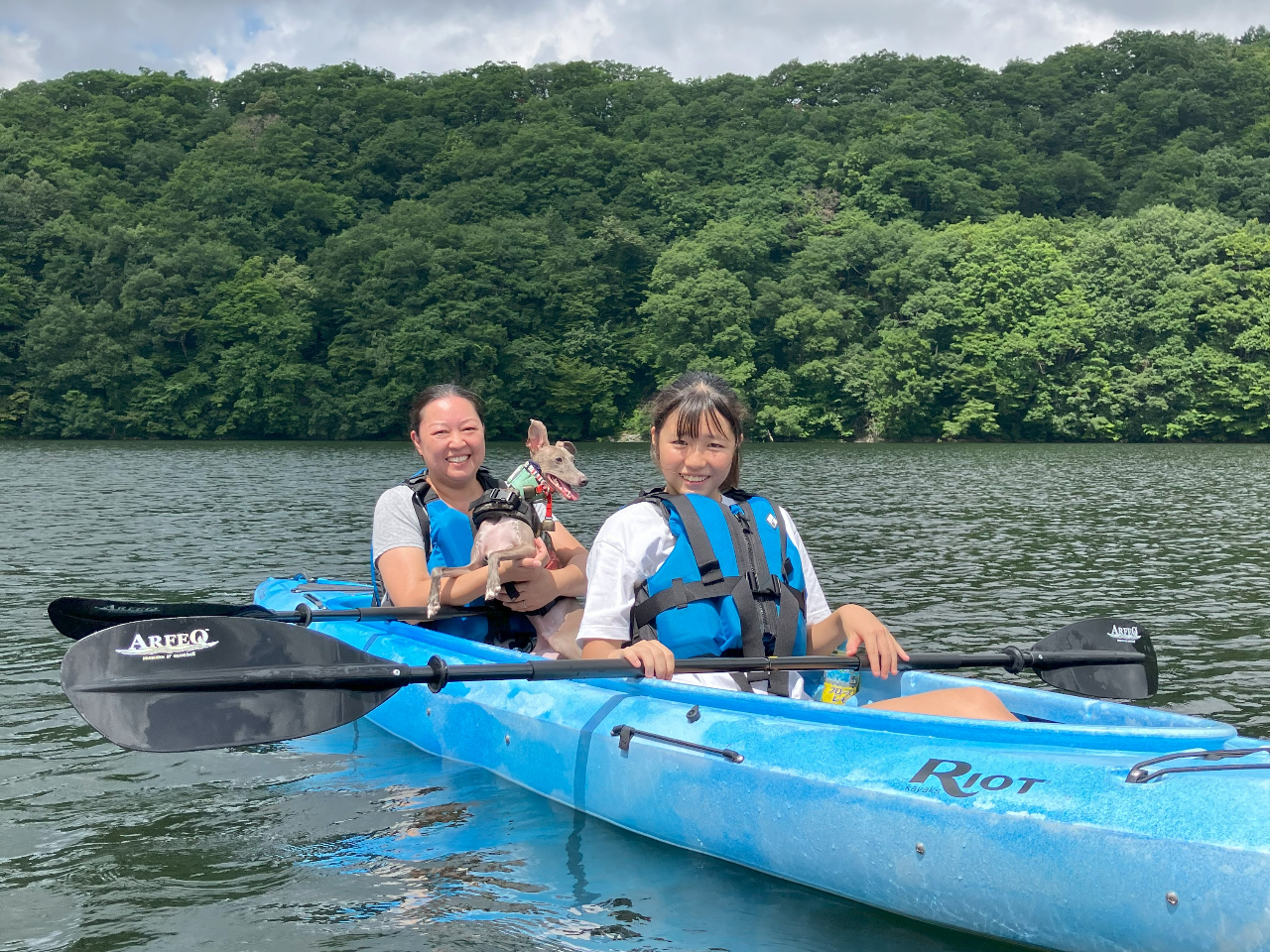 ł\ɑ؂H΃JbNcA[Bn[h߂ɂ́AȂ̃v@()