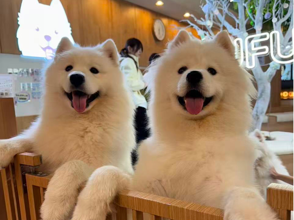 �ӂ�ӂ�V�g���҂��Ă܂�