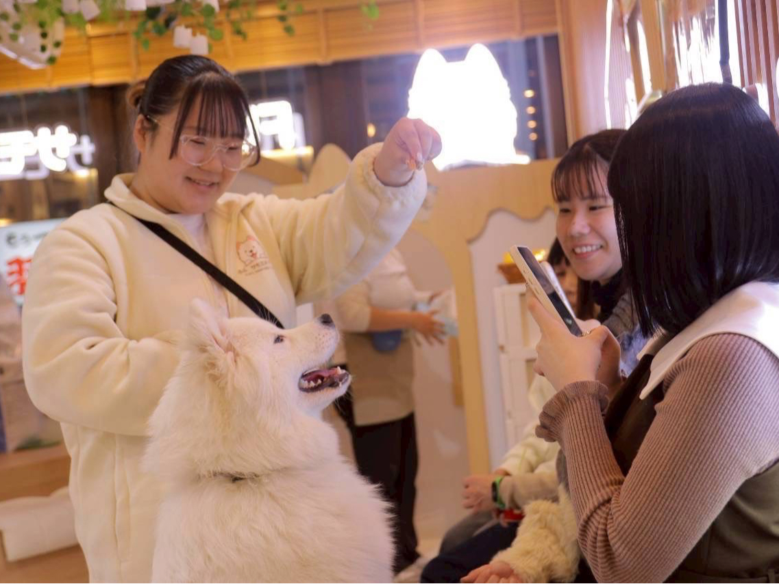 ���Ȃ��́h���ӊ��X�|�b�g�h��FUFU�I