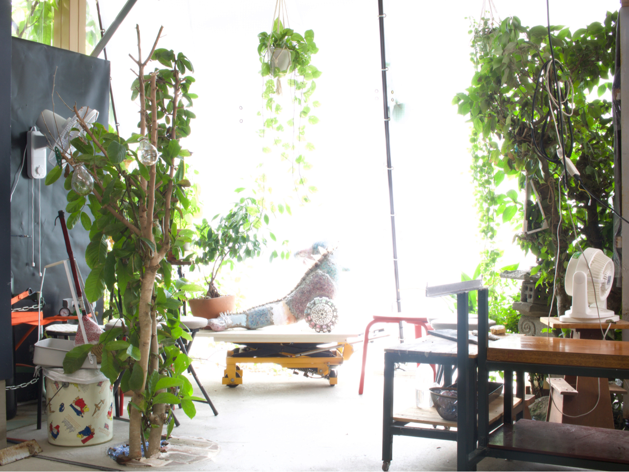 10̏ȍH[łA\񐧂̂߂Ƒ̌\ł 