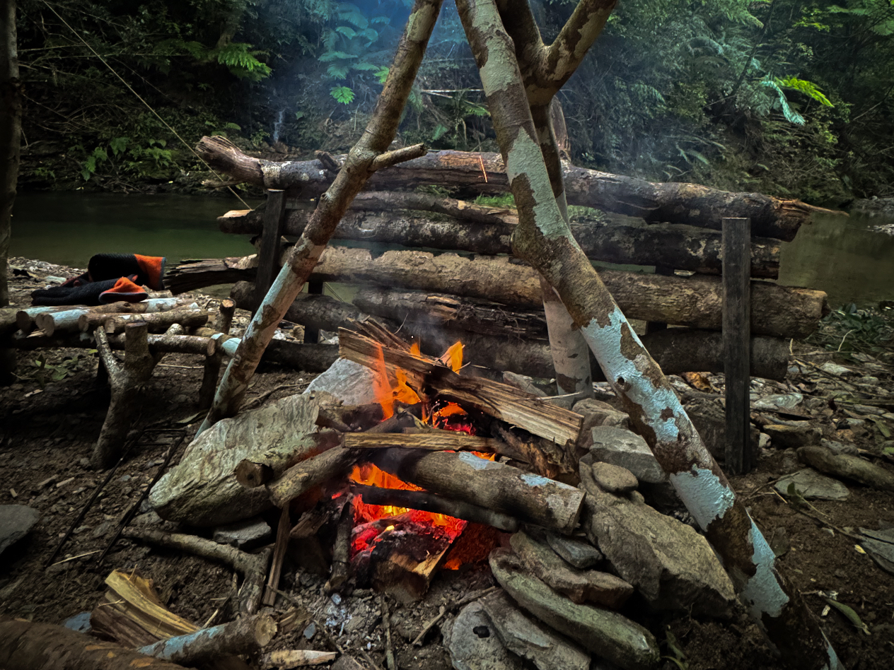 ݂Ȃŋ͂΂ꂭ炢傫ȃLb`XɗĂfނō邱Ƃł܂I܂ɁuToCovI