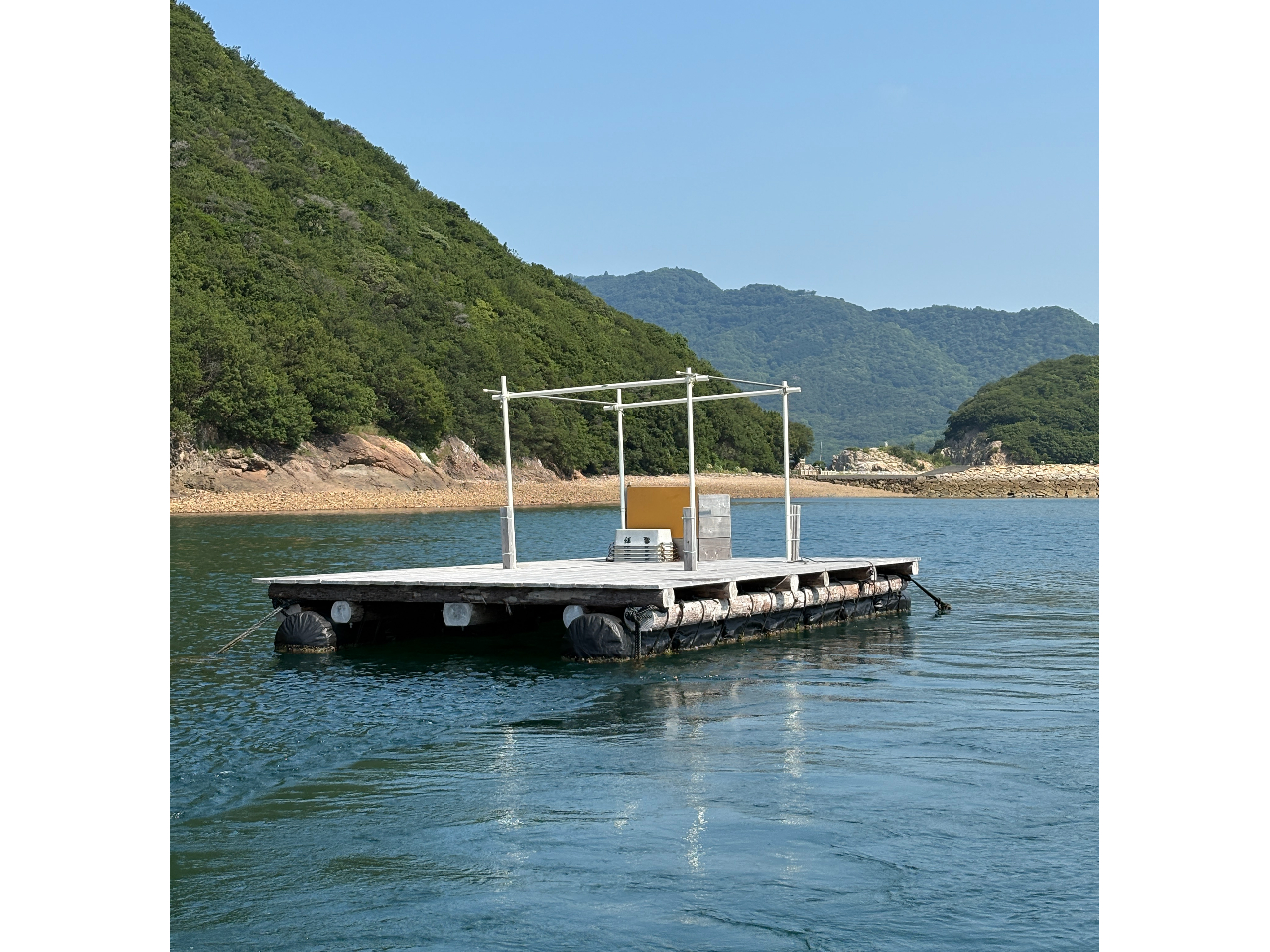 Ă܂ˁ߂đ̌CJ_ɂȂ܂II