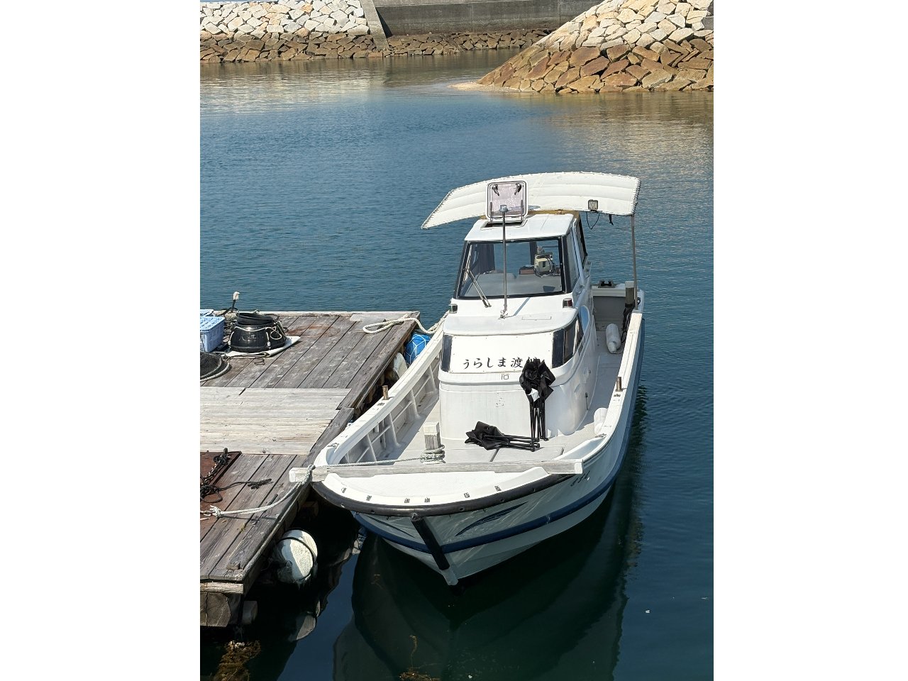 ̑DɏĂICsNjbNփbcS[