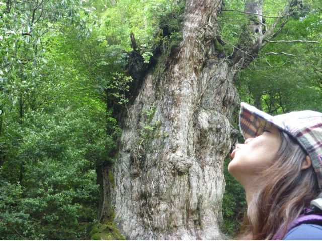 片道、トロッコ軌道を8.5km(約3時間)、山道を2.5km(約2時間)の11km(約5時間)往復22kmを10時間かけて歩きます。
初めての方もガイドがしっかりサポートします。