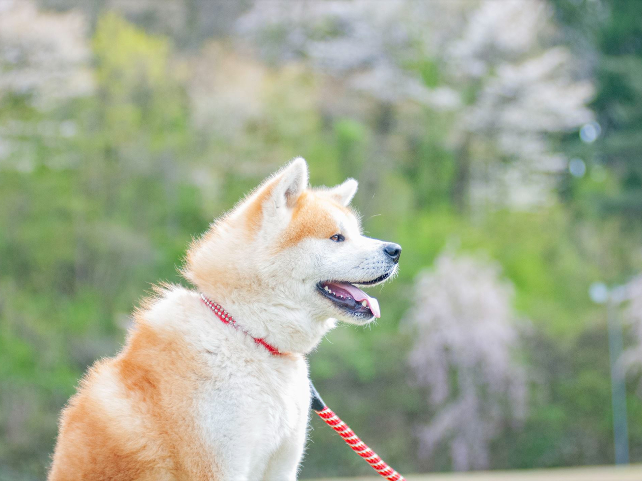 _Hc}TƎU錒NEH[LO^^s̕ɂ߁I