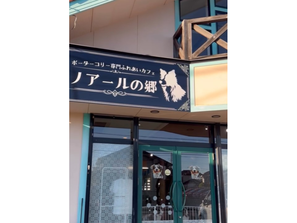 �m�A�[���̋��̎ʐ^4